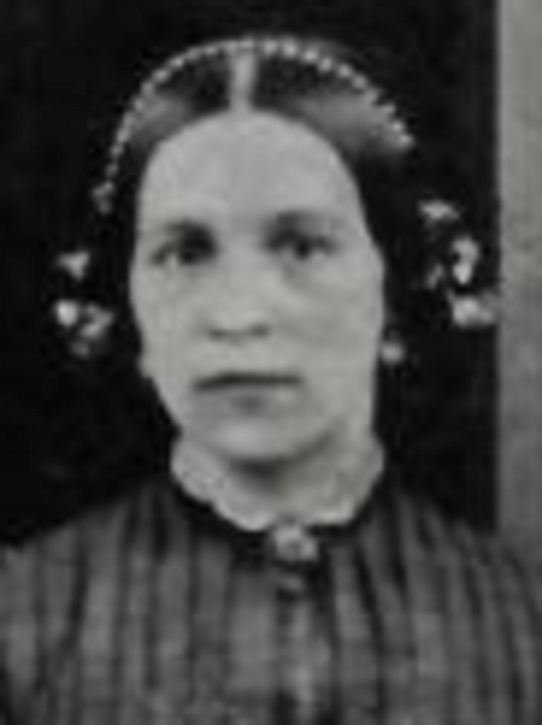 Louisa Hancock (1834 - 1924) Profile